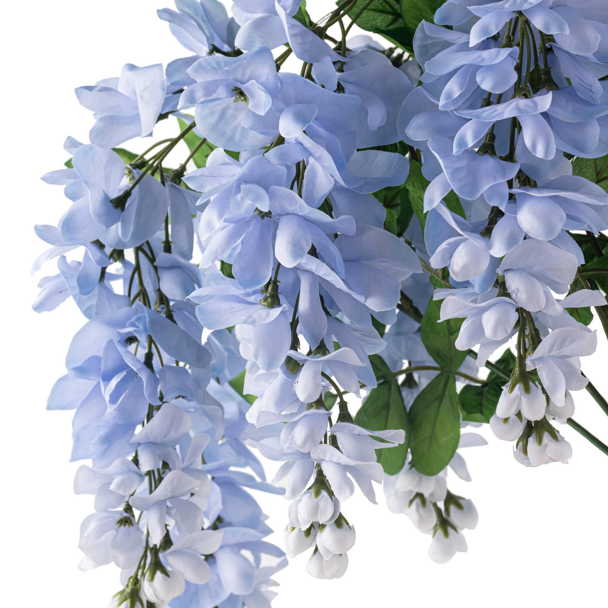 15 Pack: Blue Wisteria Bush by Ashland®